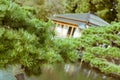 Japanese Pine tree with old traditional Japanese tea house in the background located in Hamarikyu Gardens, Tokyo, Japan Royalty Free Stock Photo